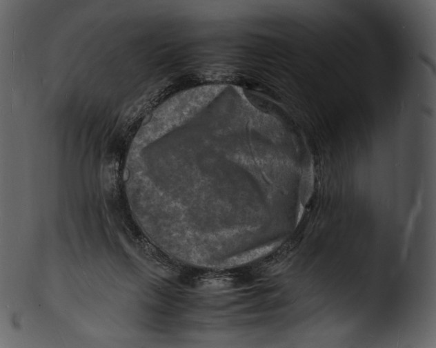 X0000103250263200809251358