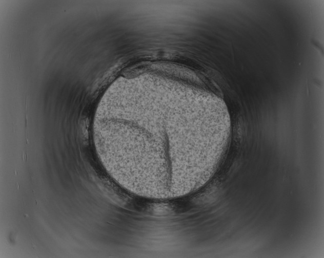 X0000103250264200809251358