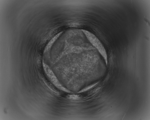 X0000103250265200809251358
