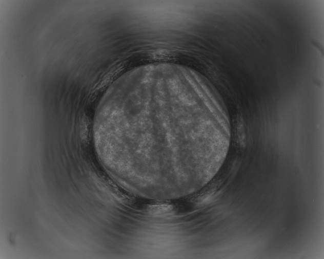 X0000103250266200809251358