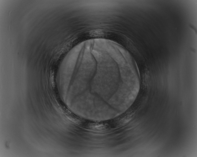 X0000103250267200809251358