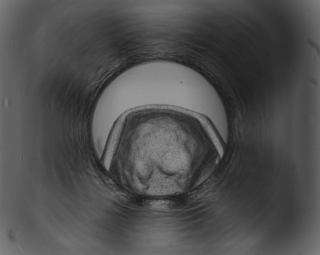 X0000103250268200809251358