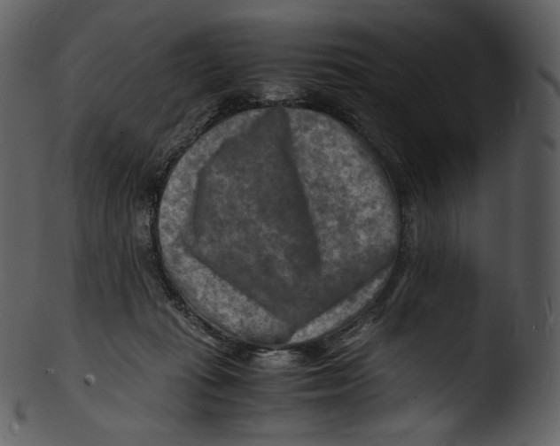 X0000103250269200809251358