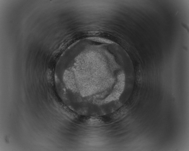 X0000103250270200809251358