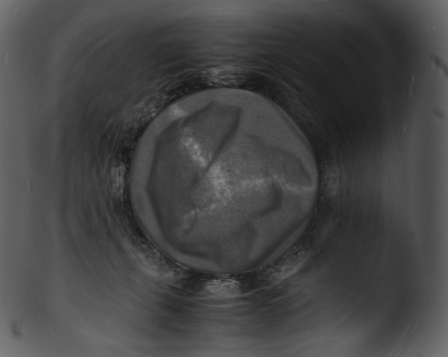 X0000103250271200809251358