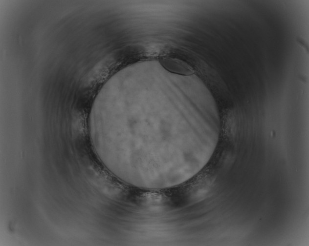 X0000103250272200809251358