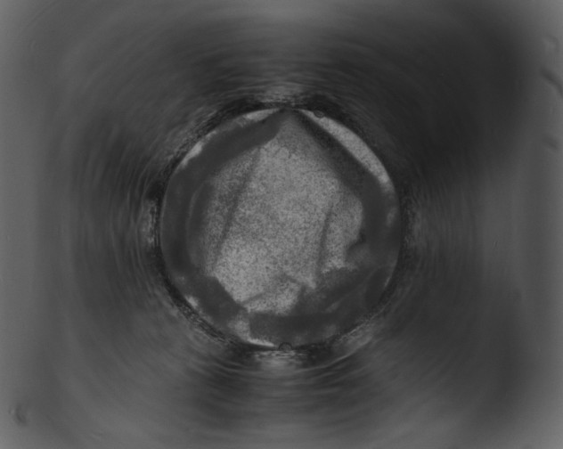 X0000103250273200809251358