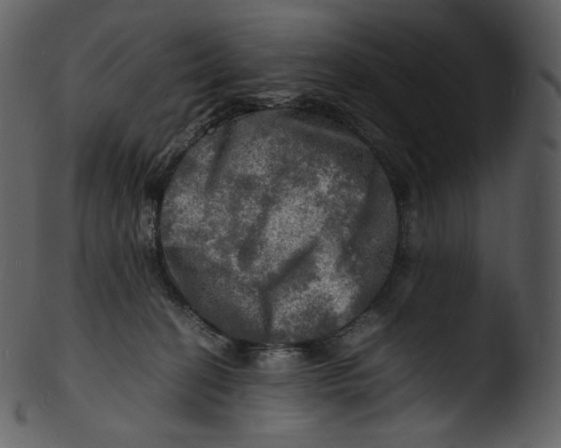X0000103250274200809251358