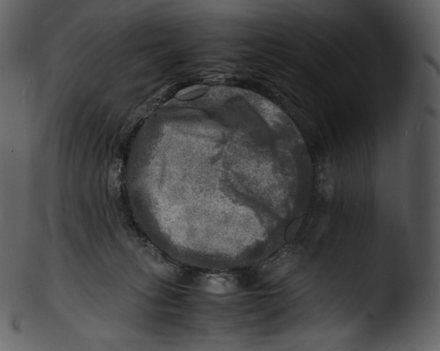 X0000103250275200809251358