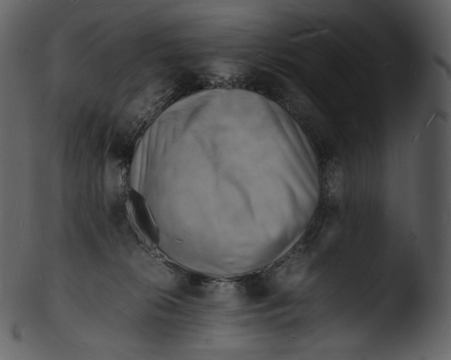 X0000103250276200809251358
