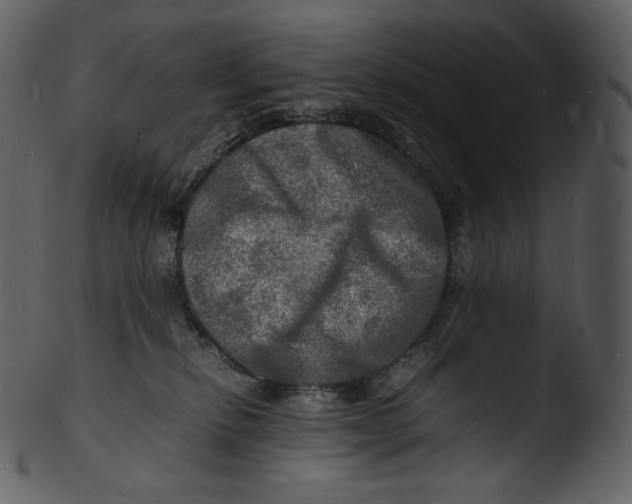 X0000103250278200809251359