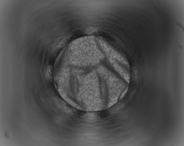 X0000103250280200809251359