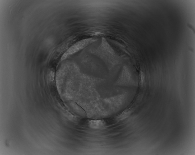 X0000103250281200809251359