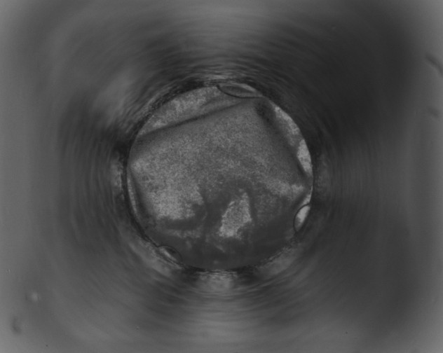 X0000103250282200809251359