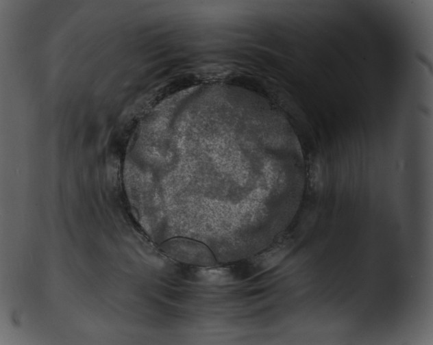 X0000103250283200809251359