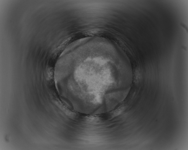 X0000103250284200809251359