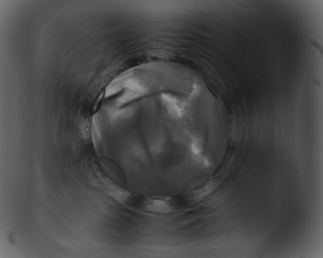X0000103250285200809251359