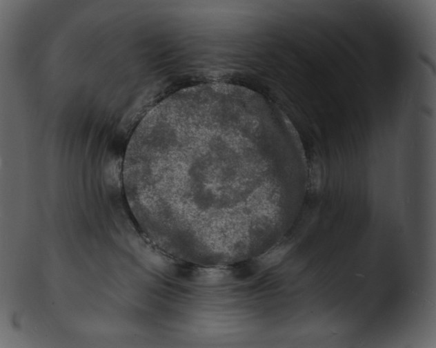 X0000103250286200809251359