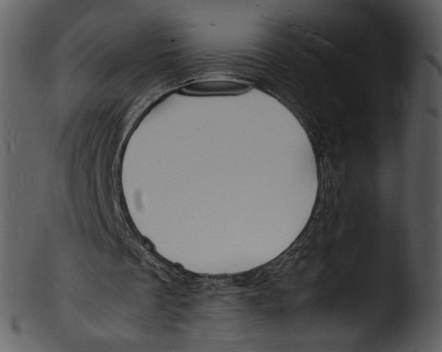 X0000103250289200809251358