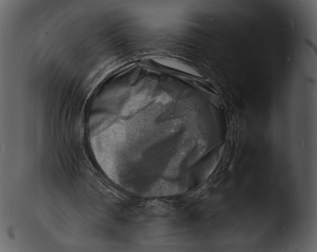 X0000103250290200809251358