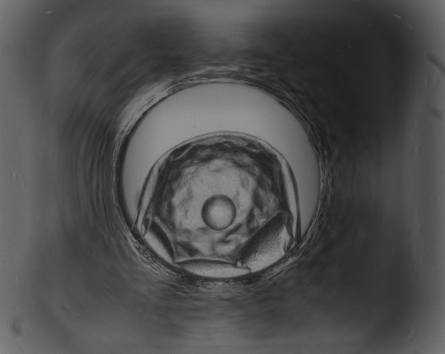 X0000103250293200809251358