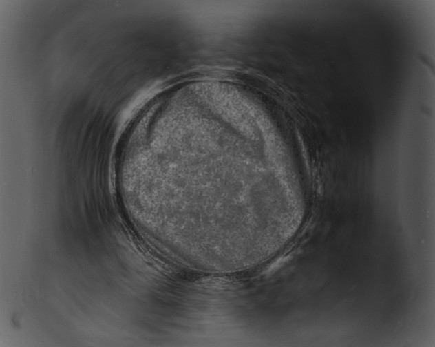 X0000103250294200809251358
