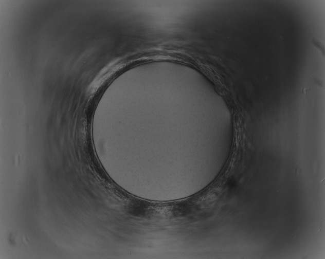 X0000103250295200809251358