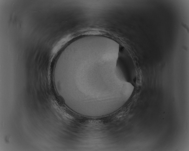 X0000103250296200809251358