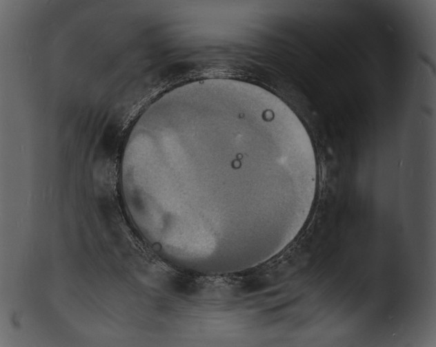 X0000103250297200809251358