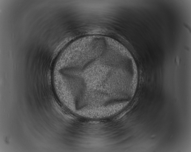 X0000103250298200809251358