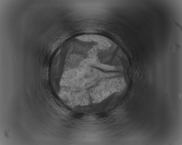 X0000103250299200809251357