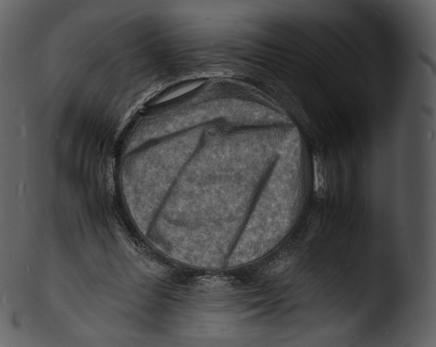 X0000103250300200809251357