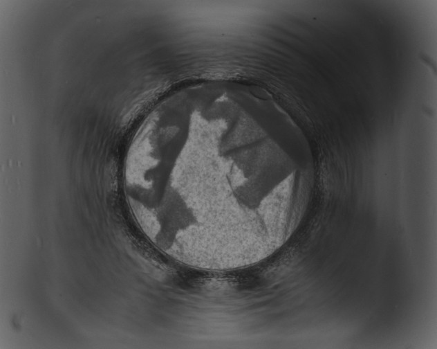 X0000103250303200809251357
