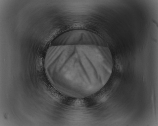 X0000103250308200809251357