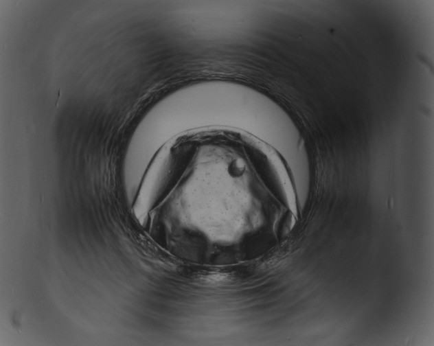 X0000103250312200809251357