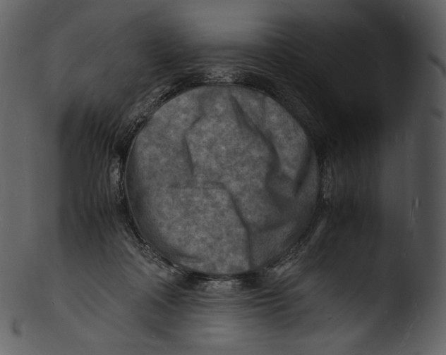 X0000103250314200809251357