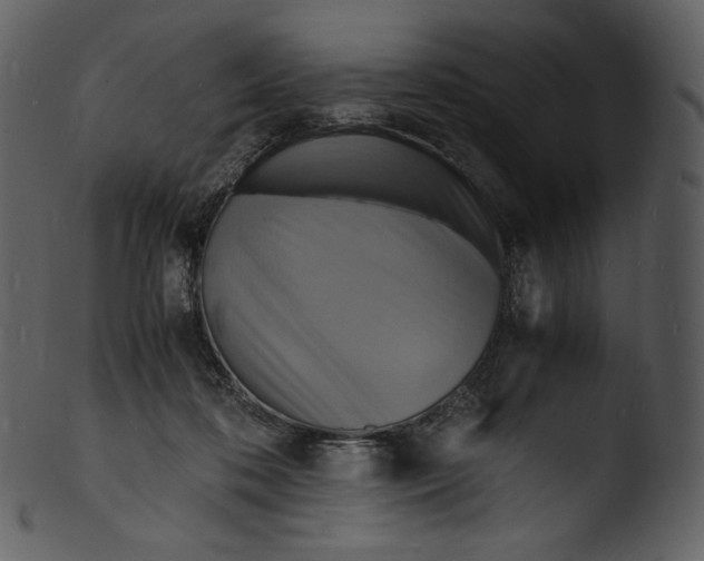 X0000103250316200809251357