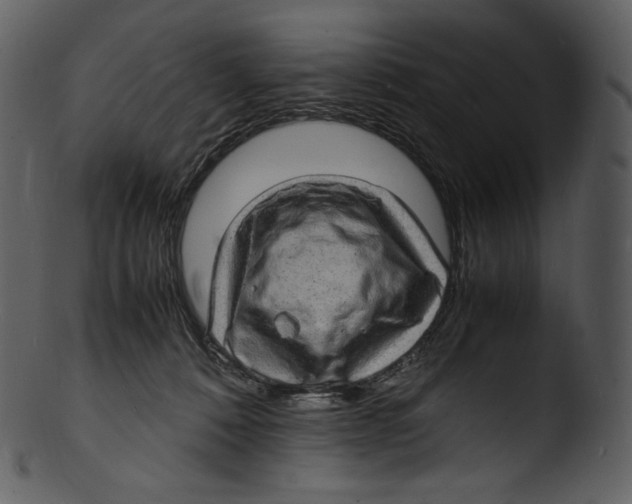 X0000103250320200809251357