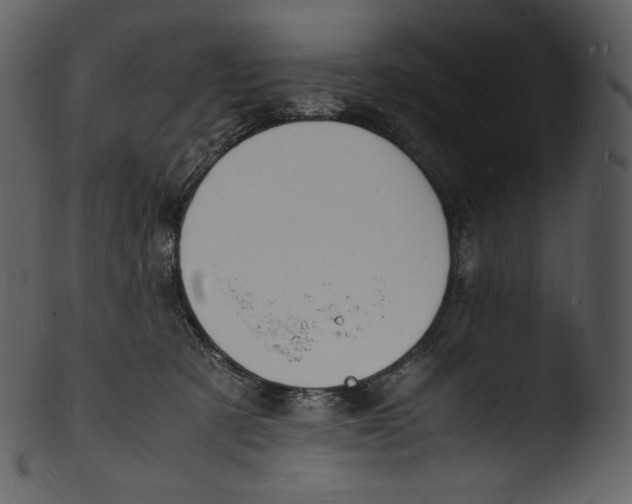 X0000103250321200809251357