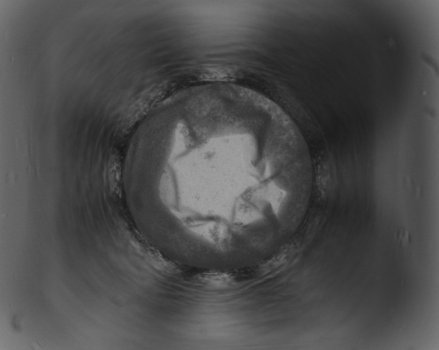X0000103250322200809251357