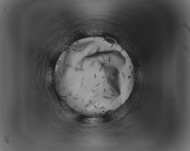 X0000103250323200809251357