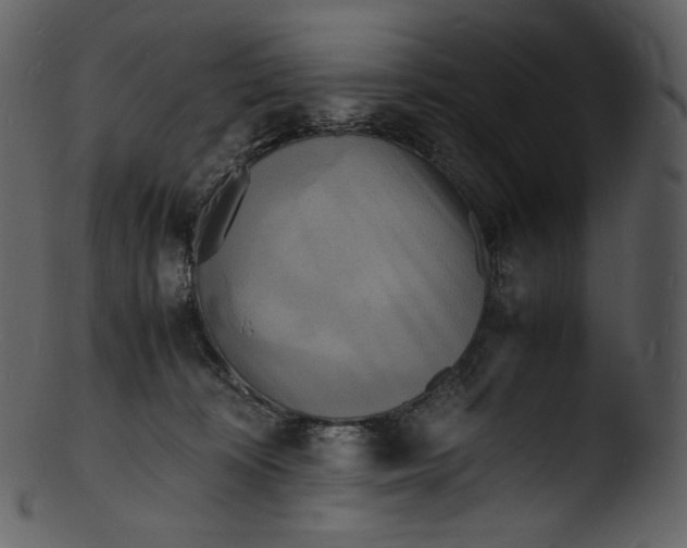 X0000103250324200809251357