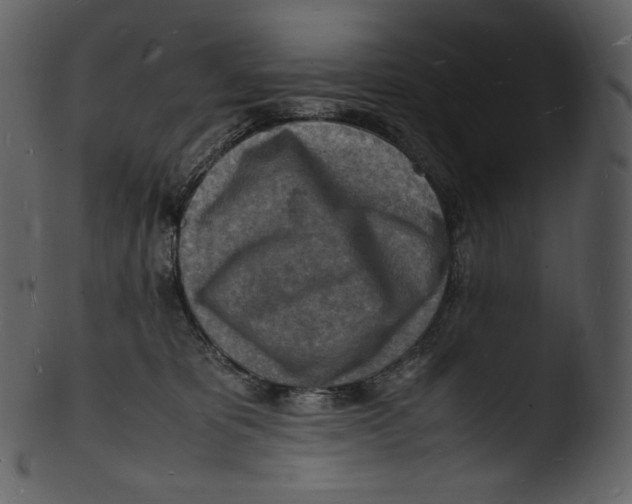 X0000103250325200809251357