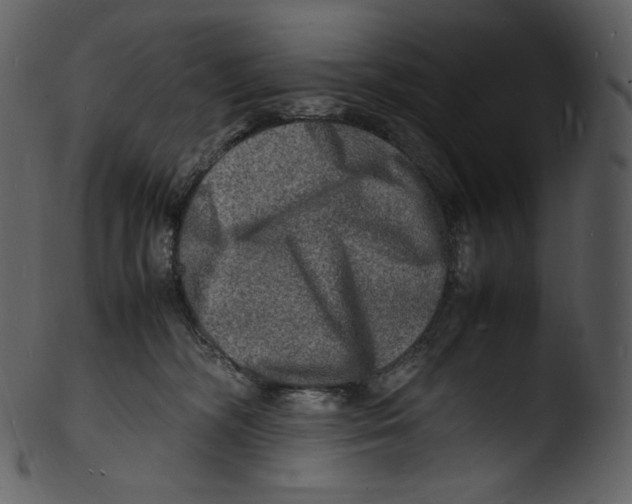 X0000103250326200809251357