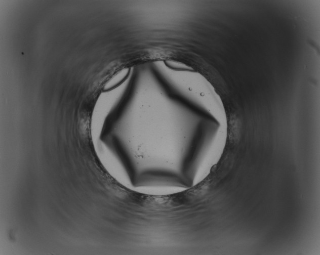 X0000103250329200809251357