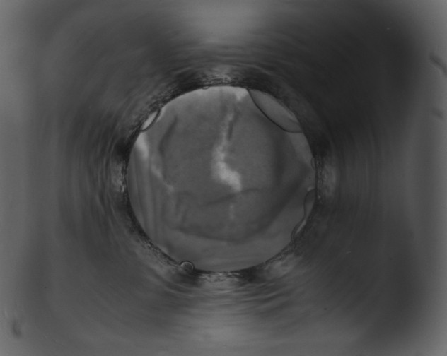 X0000103250331200809251357