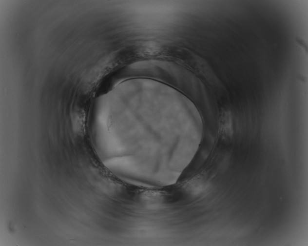X0000103250332200809251357