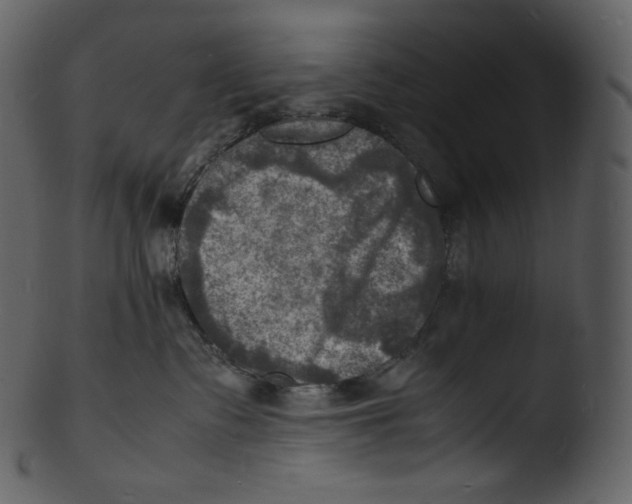 X0000103250335200809251357