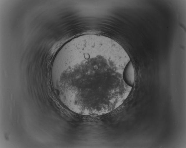 X0000103250337200809251356