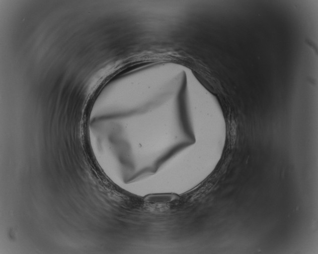 X0000103250340200809251356